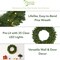 24in. Green Pine Artificial Christmas Wreath with 35 Clear LED Lights (Green) 5"D x 24"W x 24"H